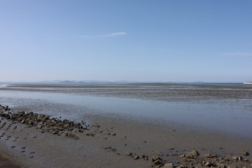 河口手前の干潟、中州、ヨシ原。