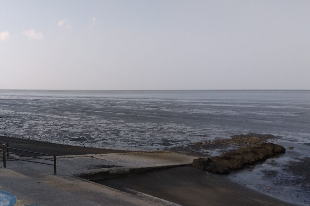 干潮の中津干潟(大新田)