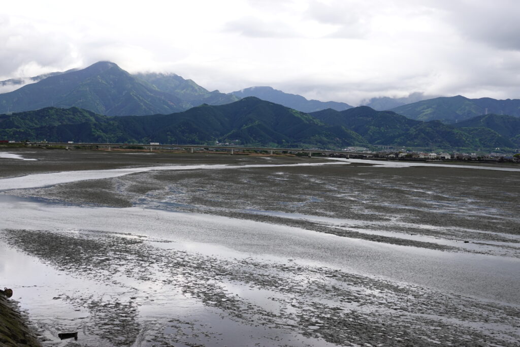 河口手前の干潟、中州、ヨシ原。