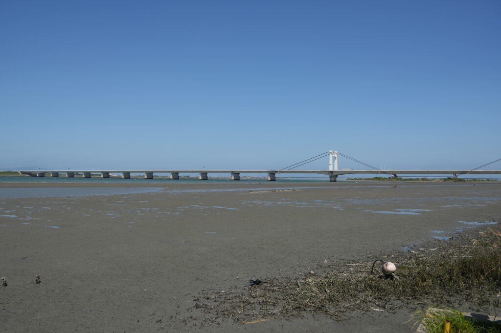 河口から約３キロ、２つ目の阿波しらさぎ大橋と３つ目の吉野川大橋の間に広がる「吉野川河口干潟（通称住吉干潟）」。