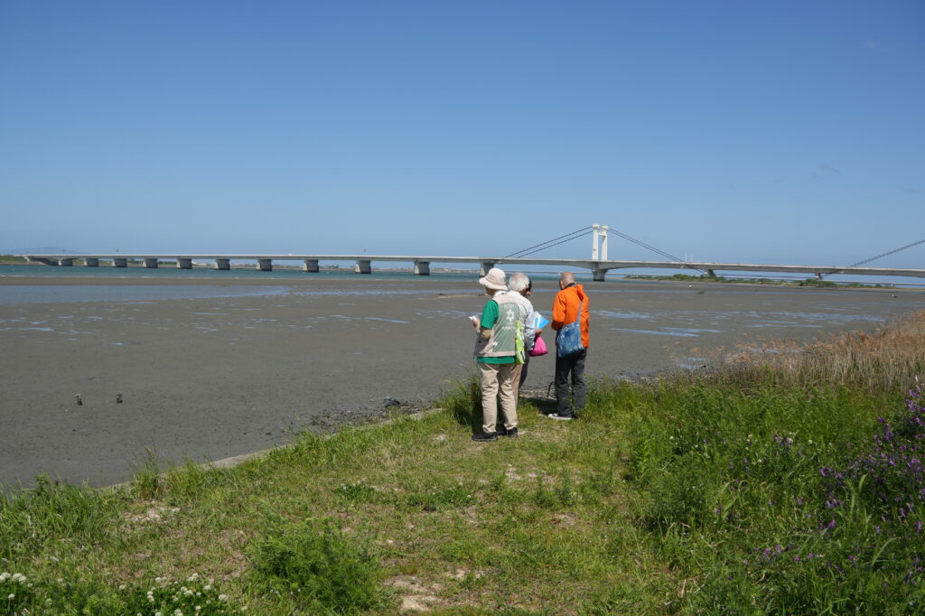 今回はとくしま自然観察の会の井口さんに案内、解説してもらった。