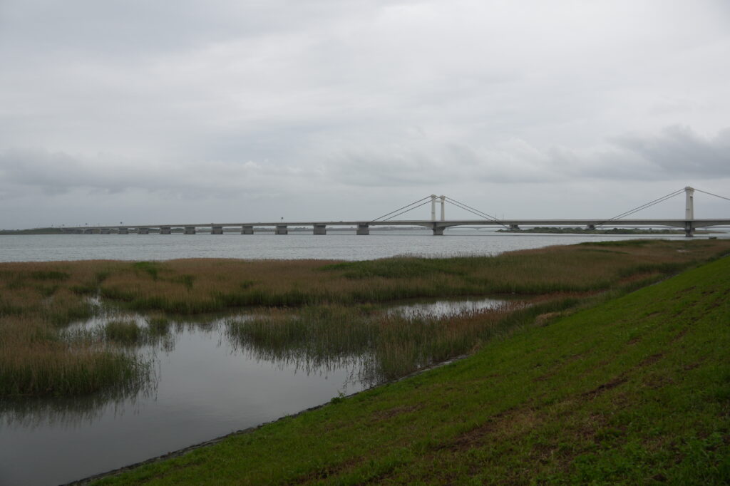 前の写真の満潮時のようす。