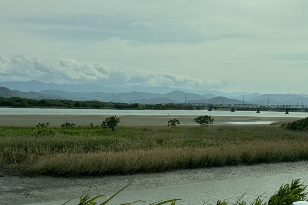 ５つ目のJR鉄道橋の下流左岸に現出する中州の干潟とヨシ原。