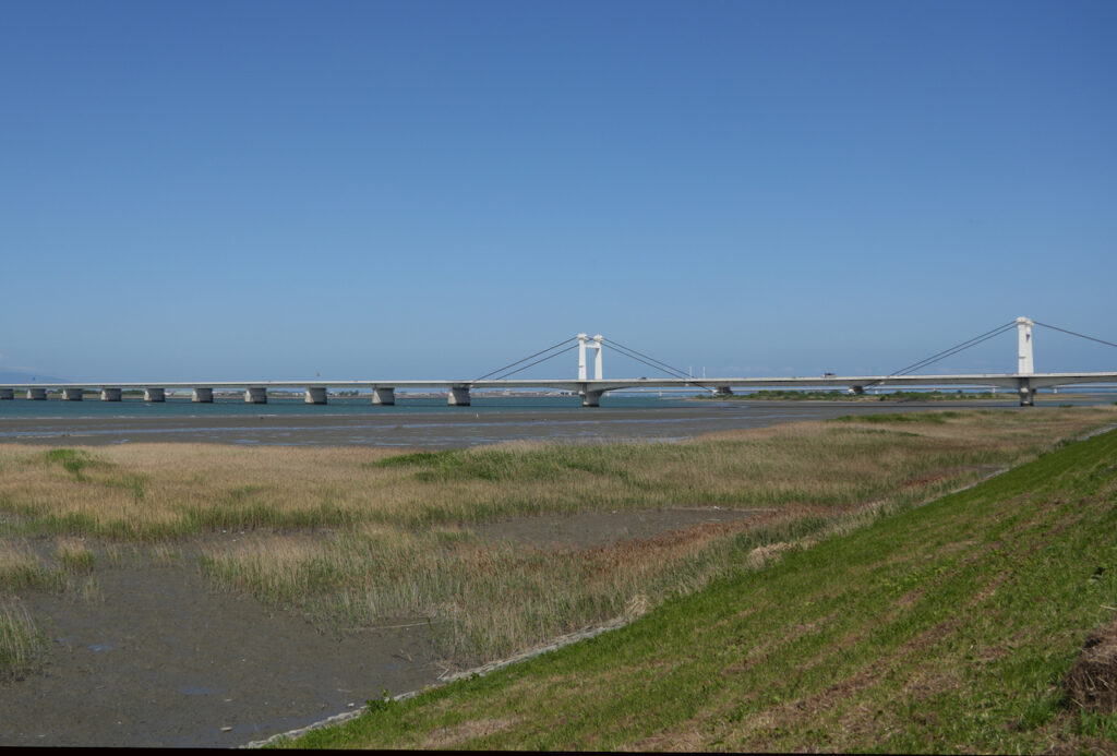 右岸堤防からの干出時の住吉干潟。ヨシ原と泥干潟が干出す。
