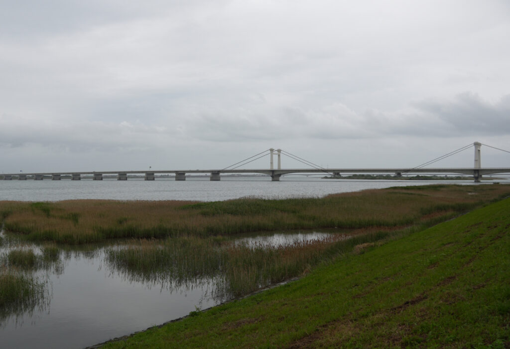 前出⑤の満潮時のようす。