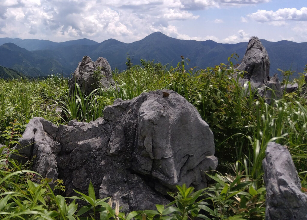 北側の愛媛県久万高原の山並み。