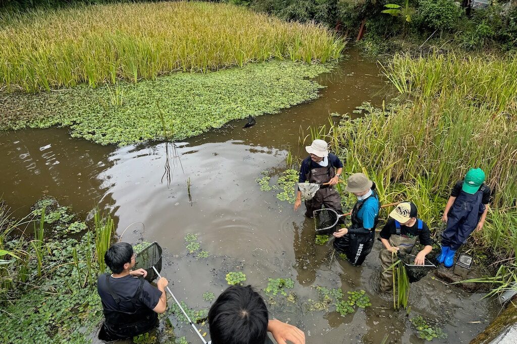 胴長をはいて池の中にはいり、生きもの調査をする参加者たち。