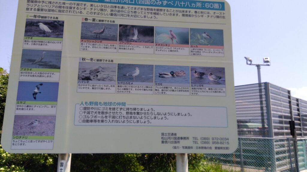 多くの野鳥が観察できるバードウォッチングサイト。