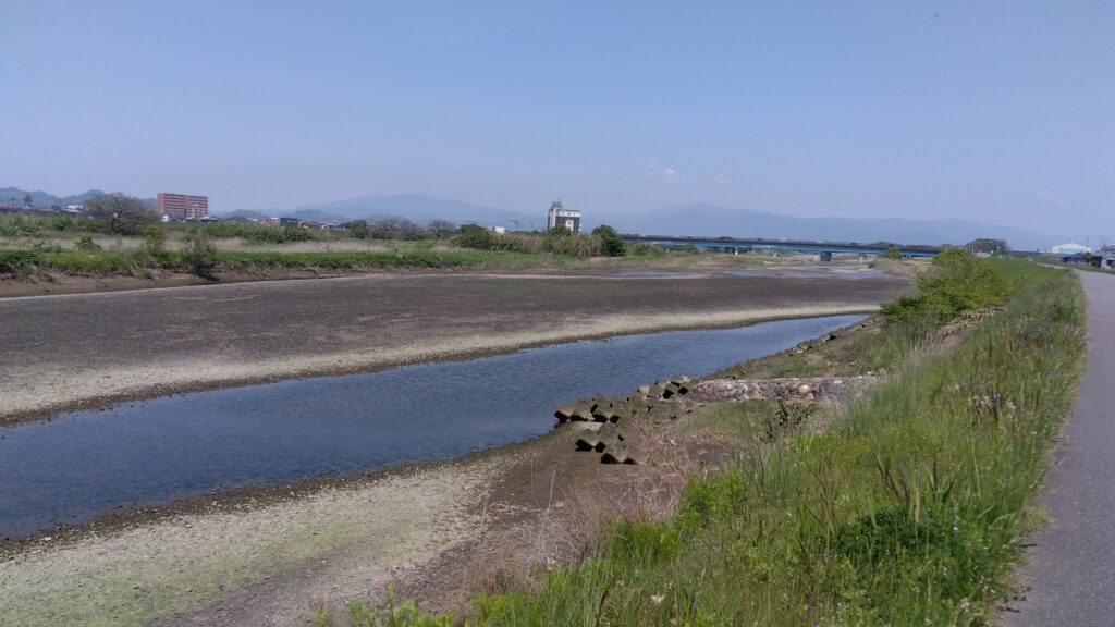 河口から重信川の上流を望む。中州とヨシ原の自然景観。