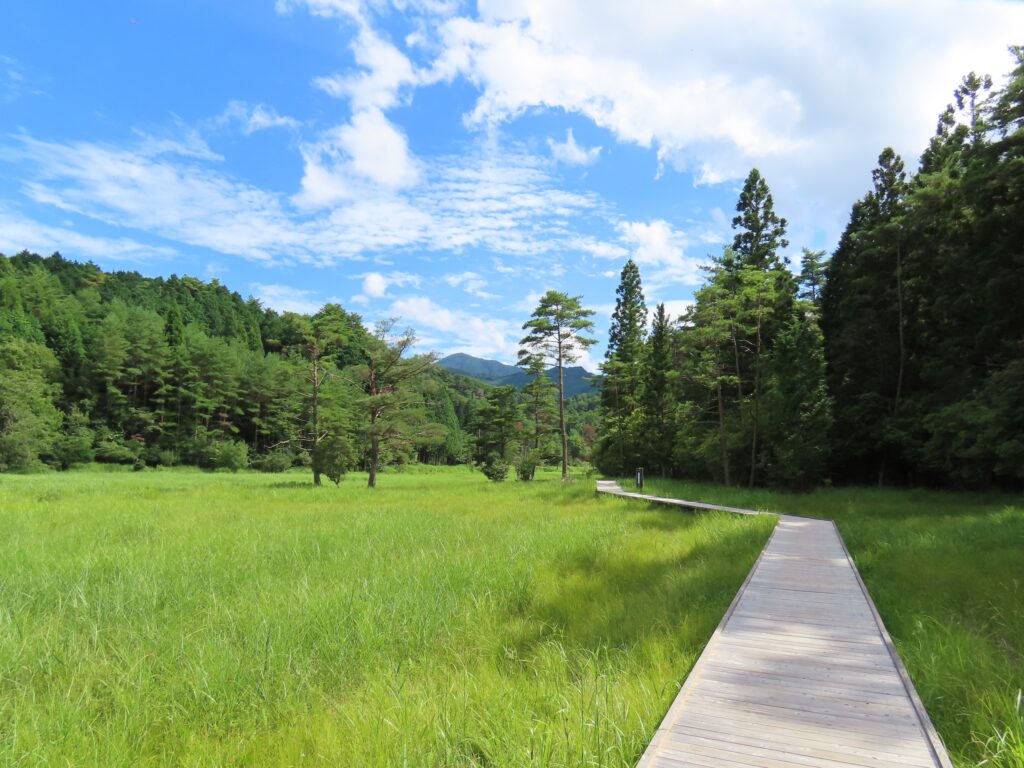 4_木道が整備されれいる