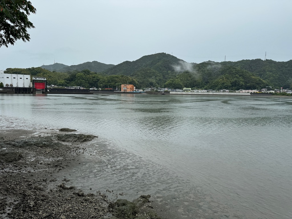 湾の中下流域の西岸では干潮時に小さな干潟がそこここに現れる。