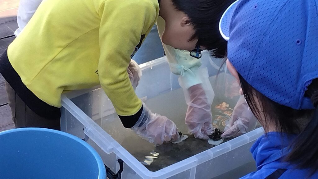 幼樹を台石の穴に１つずつ、水中ボンドでしっかり植え付ける。