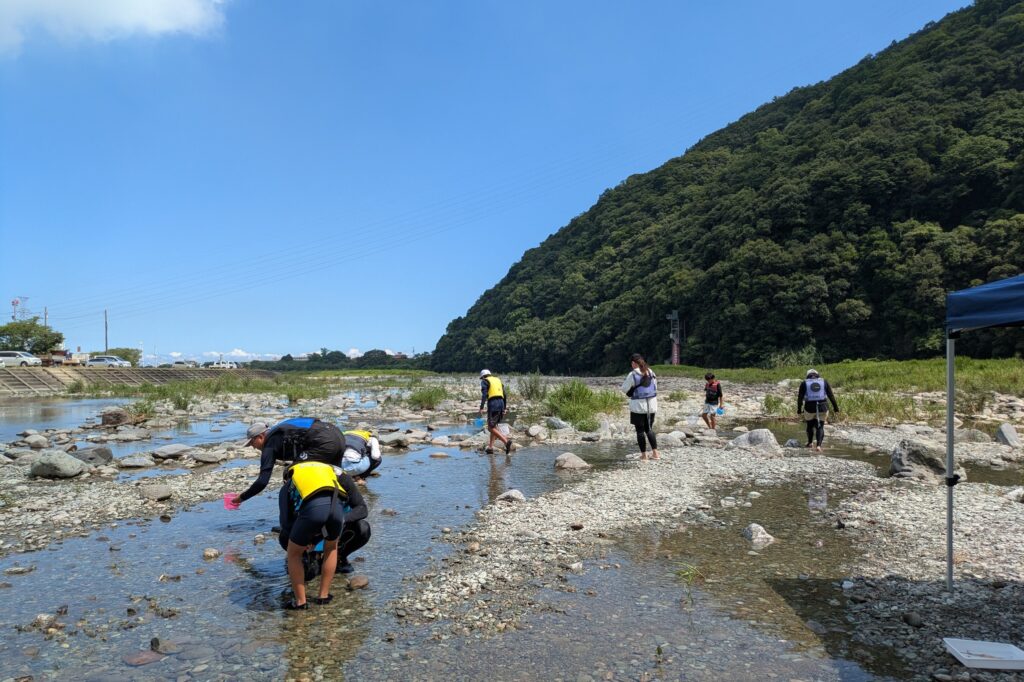 浅瀬に散らばって、生きもの探し。川の水は冷たくて気持ちいい。