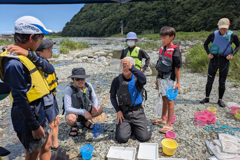 採取した生きものを持ち寄って、名前を調べる。