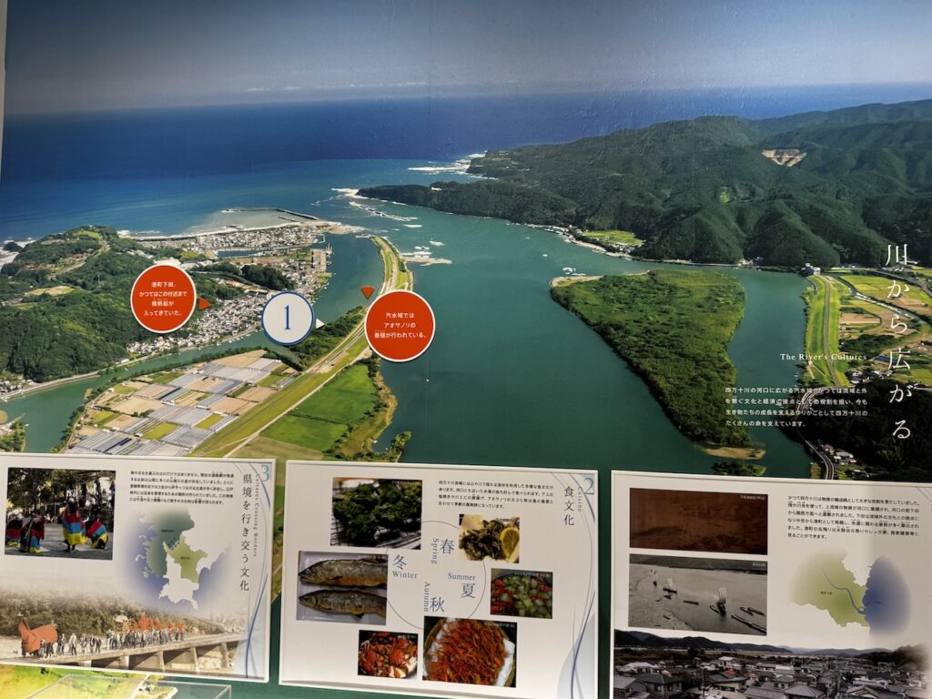 四万十川が太平洋に注ぐ河口部汽水域のようす。（展示から）