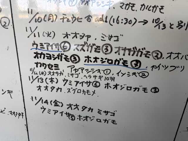 多く集まる水鳥を狙ってワシやタカなどの猛禽類が姿を見せるのも野鳥園の特色。