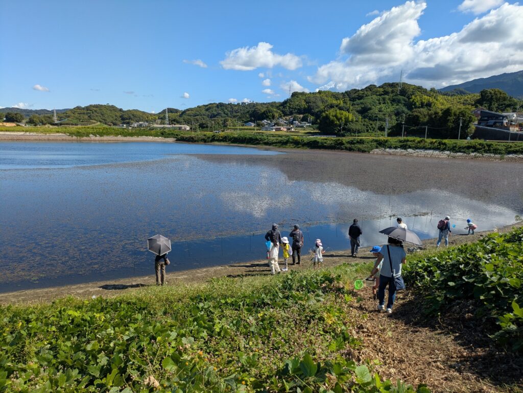 ため池の全景。面積１ヘクタールくらいか。