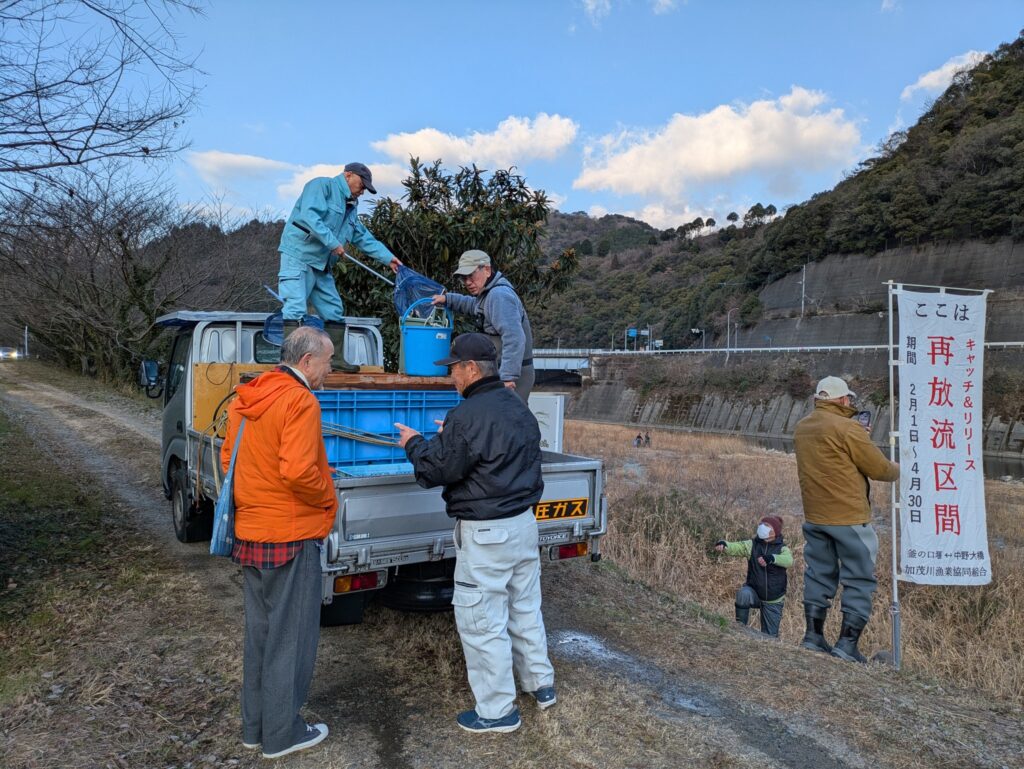 朝８時、C&R区間に放流する養殖アマゴ40キロが到着した。